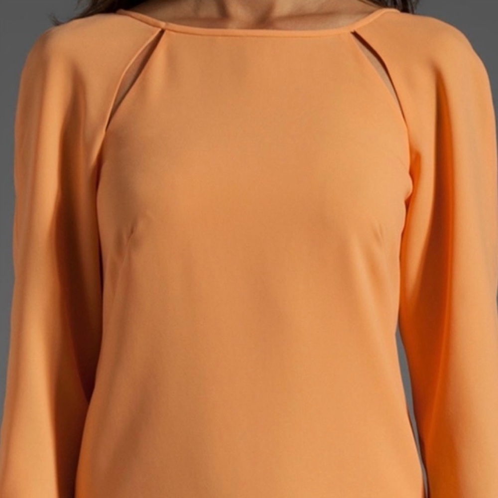Tibi Alison Peek a Boo Shift Dress - Picture 3 of 12